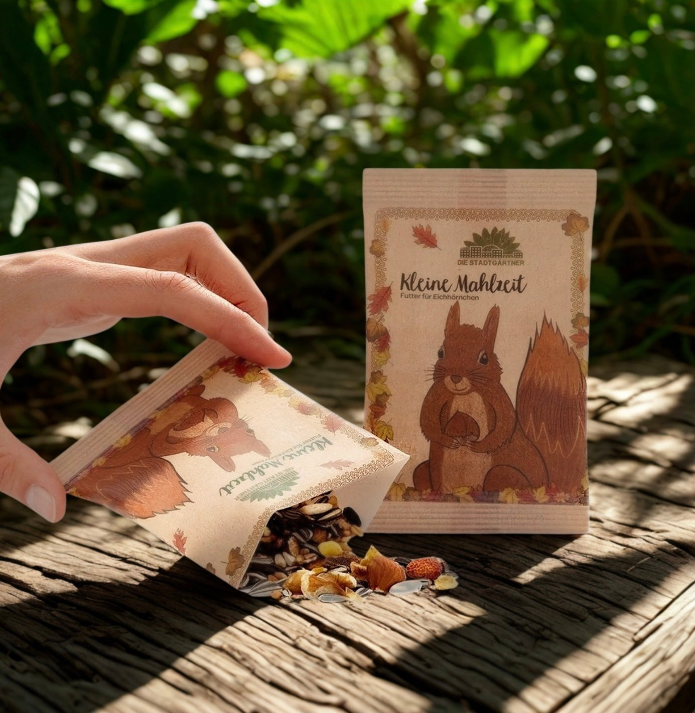 Petit repas - Écureuils