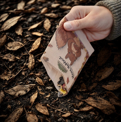 Petit repas - Écureuils