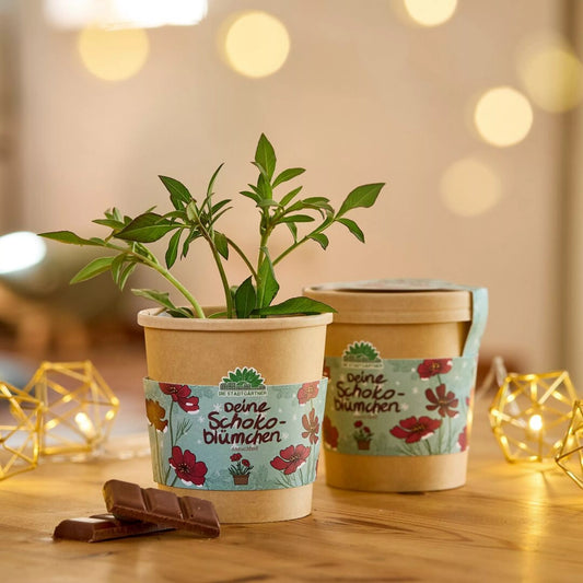 Fleurs au parfum chocolat