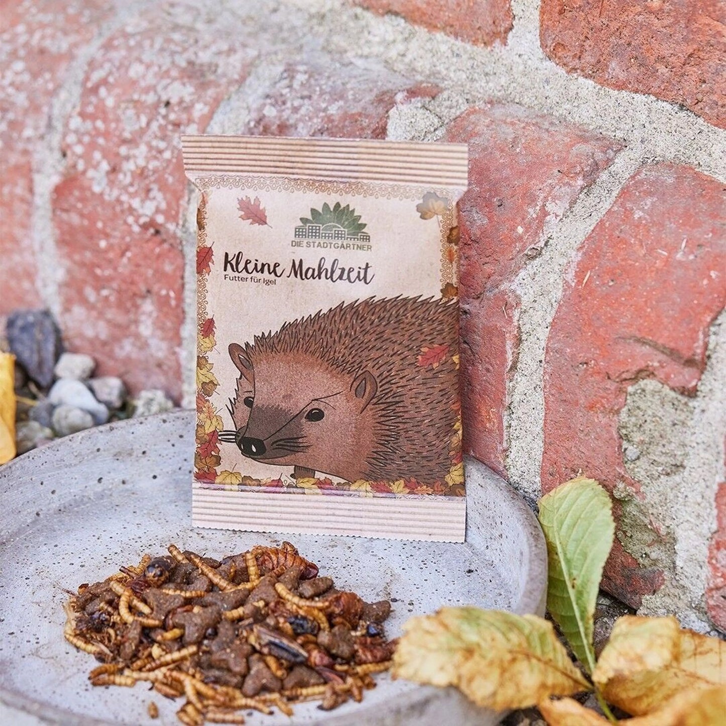 Petit repas - Hérissons