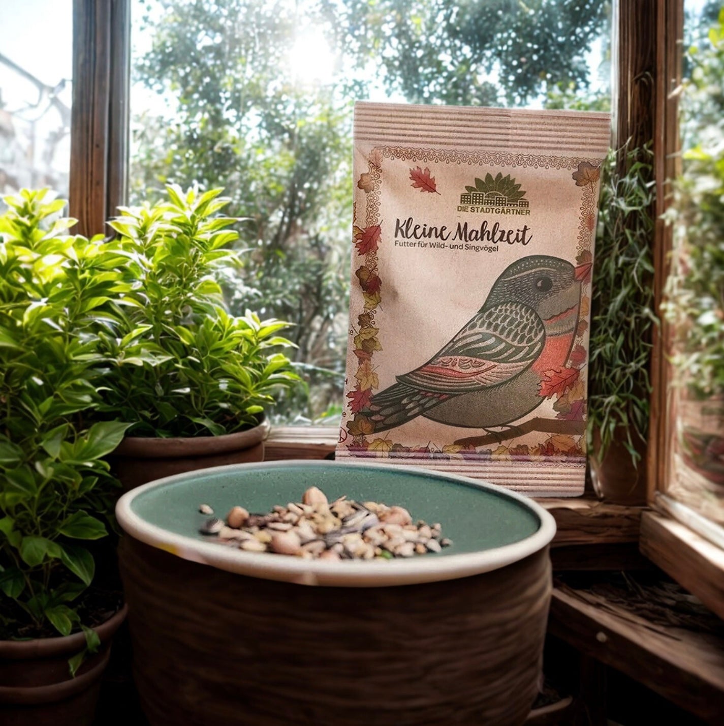 Petit repas - Oiseaux